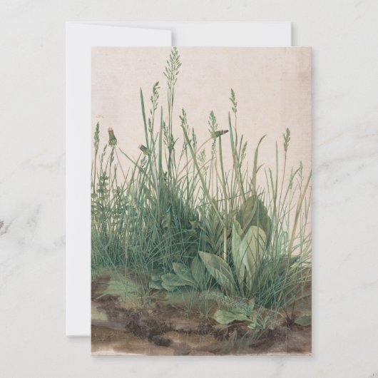 Large Piece of Turf by Albrecht Durer (Front)