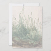 Large Piece of Turf by Albrecht Durer (Back)