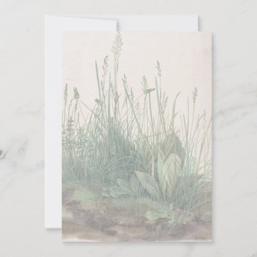 Large Piece of Turf by Albrecht Durer (Back)