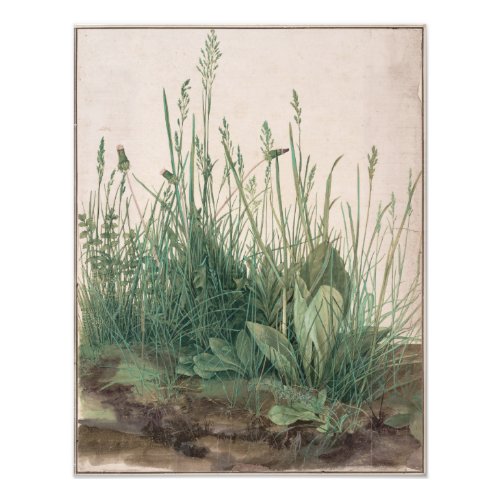 Large Piece of Turf by Albrecht Durer Photo Print