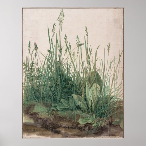 Large Piece of Turf by Albrecht Durer Poster
