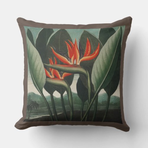 large pillow with bird of paradise