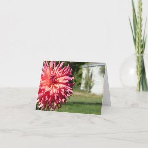 "LARGE PINK DAHLIA" NOTECARD