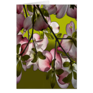 Large Pink Dogwood Flowers - Green Cards