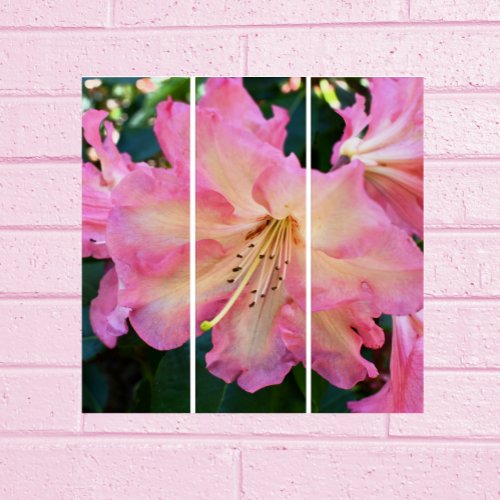 Large Pink Rhododendron Bloom Floral Triptych