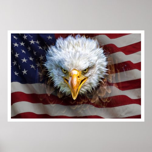 Large Powerful USA Eagle FLAG Poster