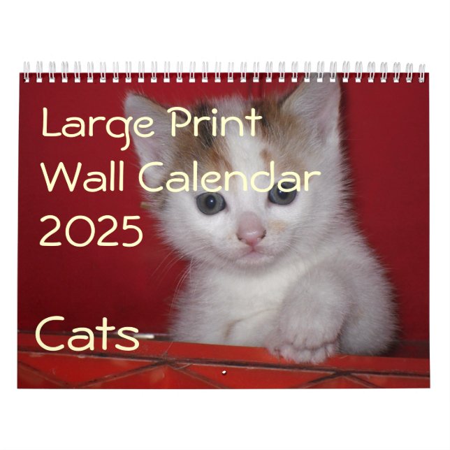 Large Print Wall Calendar 2025 - Cats (Cover)