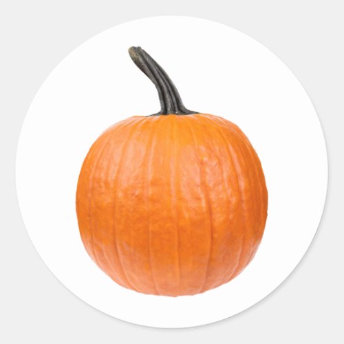 Large Pumpkin Classic Round Sticker