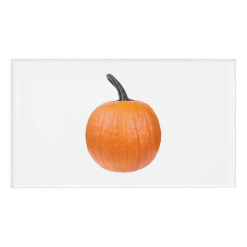 Large Pumpkin Name Tag