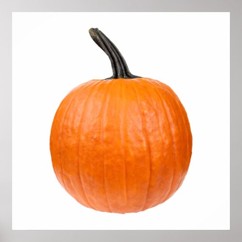 Large Pumpkin Poster