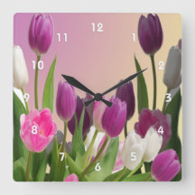 Large Purple and White Tulips