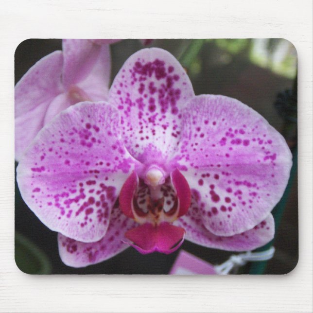 Large Purple Orchid Mouse Pad (Front)