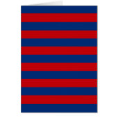 Large Red and Blue Horizontal Stripes (Front)