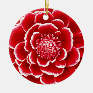 Large Red and White Dahlia Flower   Ceramic Ornament