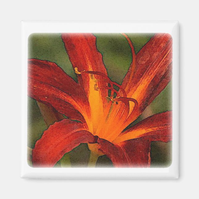 large red day lily graphic impact magnet (Front)