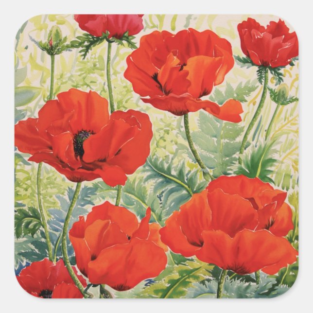 Large Red Poppies Square Sticker (Front)