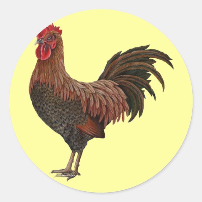 Large Red Rooster Classic Round Sticker (Front)