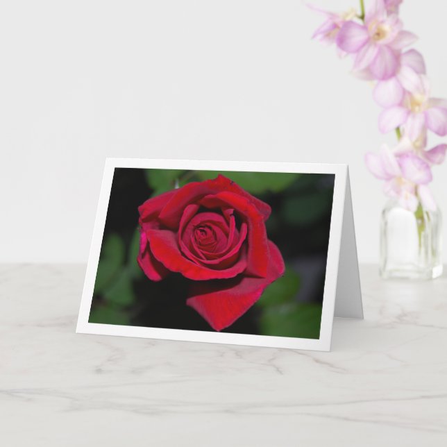 Large Red Rose Portrait Card (Orchid)