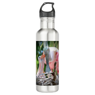 Large Roseate Spoonsbill Babies Water Bottle