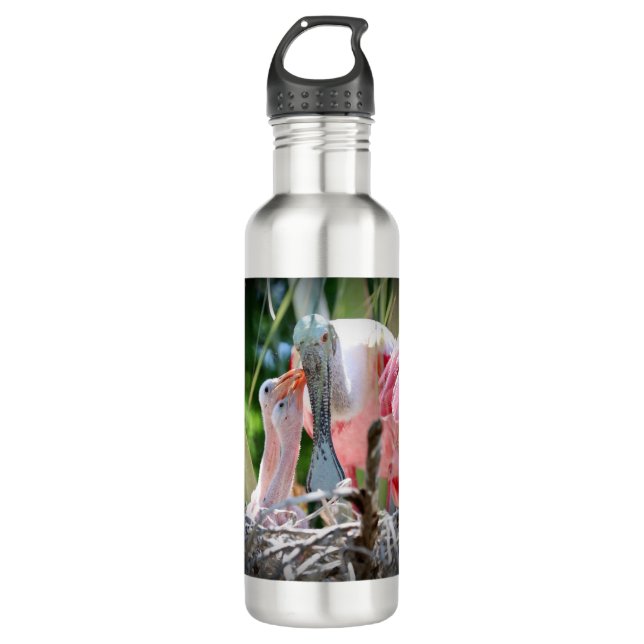 Large Roseate Spoonsbill Babies Water Bottle (Front)