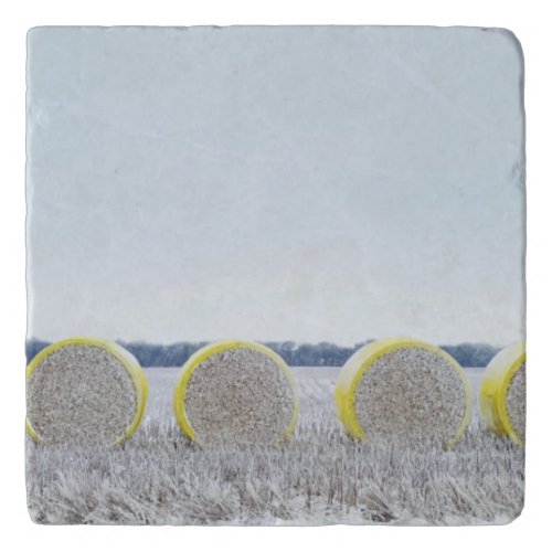 Large Round Bales of Cotton in Winter Trivet