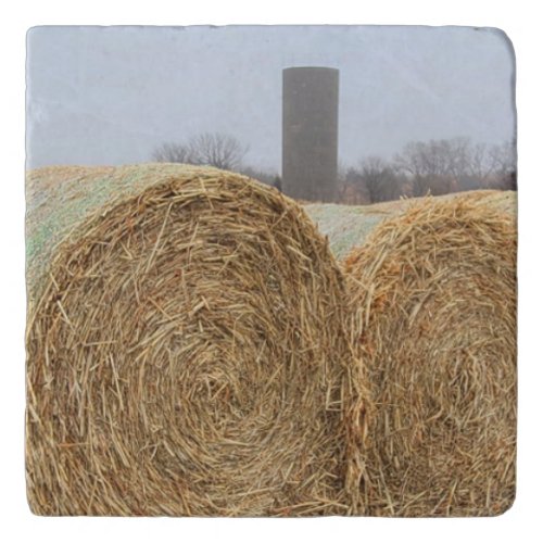 Large Round Hay Bales in a Farm Field Trivet