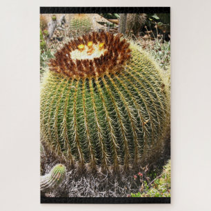 Large Round Prickly Cactus Jigsaw Puzzle
