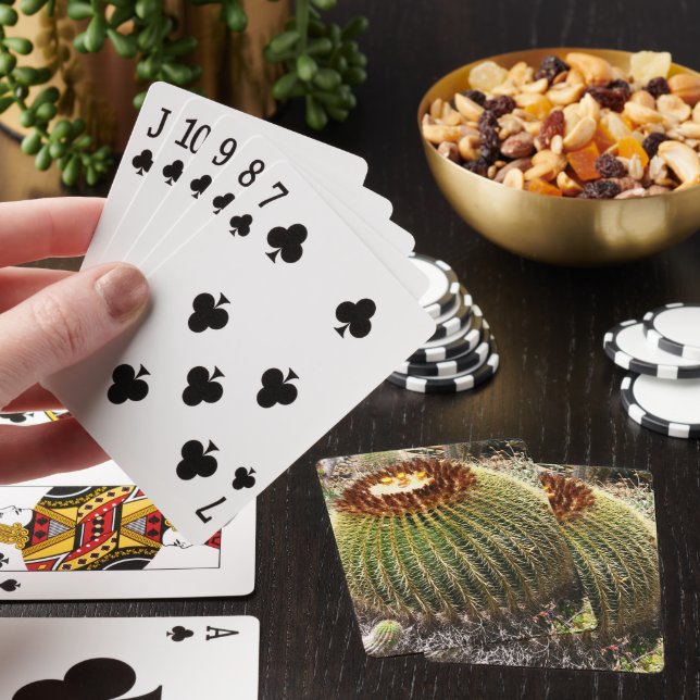 Large Round Prickly Cactus Poker Cards (In Situ)