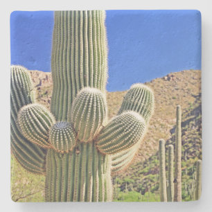 Large Saguaro Cactus,Arizona, square stone coaster