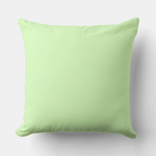  Large Sherbet Green  Throw Pillow