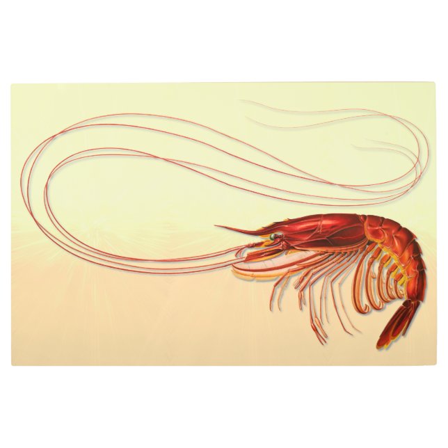 Large Shrimp Long Antennae Metal Wall Art (Front)