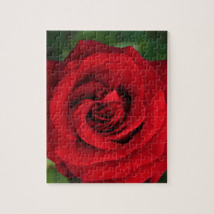 Large Single Red Rose Up Close Jigsaw Puzzle