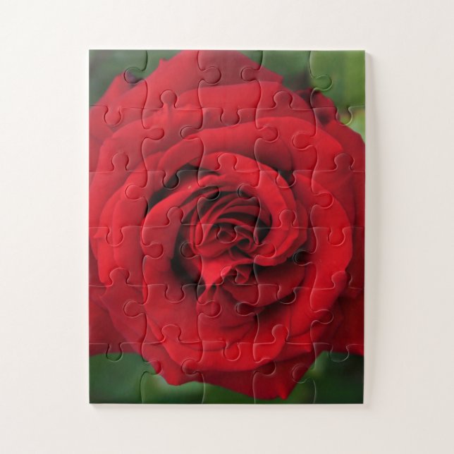 Large Single Red Rose Up Close Jigsaw Puzzle (Vertical)
