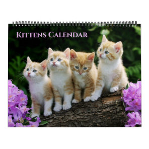 Large Size Kittens Calendar