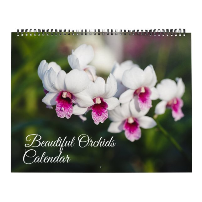 Large Size Orchids Calendar (Cover)