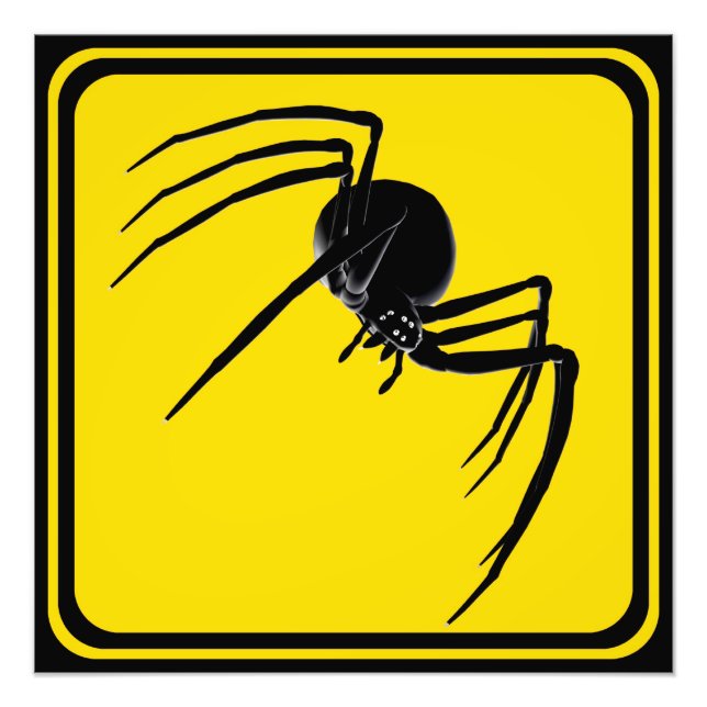 Large Spider Crossing! Photo Print (Front)
