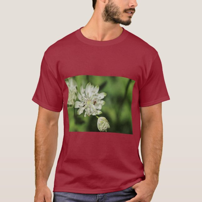 Large Star Umbel Botanical Illustration T-Shirt (Front)