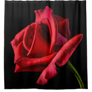 Large Stemmed Red Rose Shower Curtain