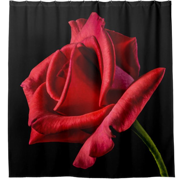 Large Stemmed Red Rose Shower Curtain (Front)