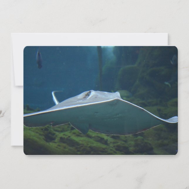 Large Stingray Invitation (Front)