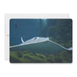 Large Stingray Invitation