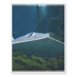 Large Stingray Temporary Tattoos