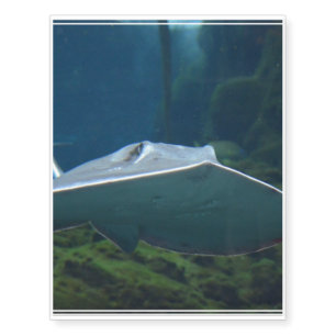 Large Stingray Temporary Tattoos
