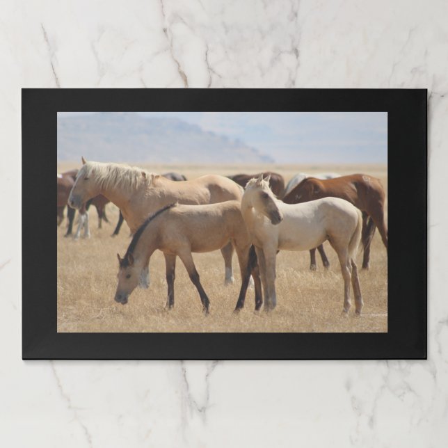 LARGE TEARAWAY PLACEMAT (Front)