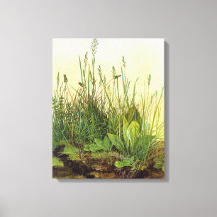 Large Turf - Albrecht Durer - c1503 Canvas Print