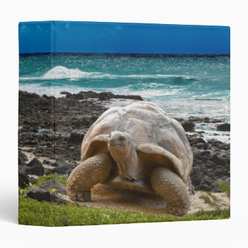 Large Turtle At The Sea Edge Binder by wildlifecollection at Zazzle