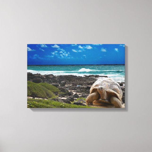 Large turtle at the sea edge canvas print (Front)