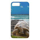 Large turtle at the sea edge