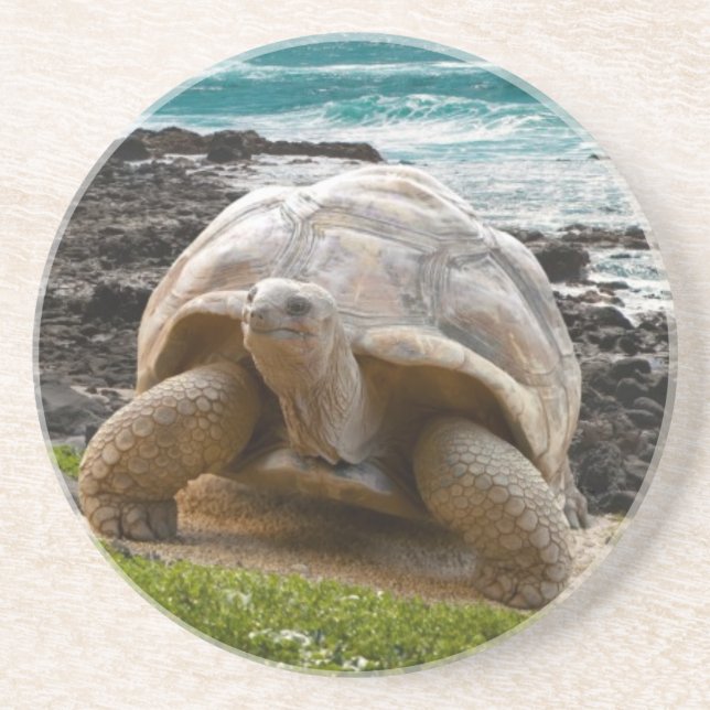 Large turtle at the sea edge coaster (Front)