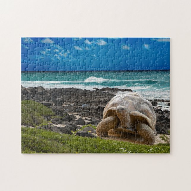 Large turtle at the sea edge jigsaw puzzle (Horizontal)